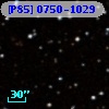 [P85] 0750-1029