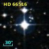 HD  66516