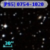 [P85] 0754-1020