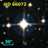 HD  66072