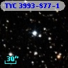 TYC 3993-877-1