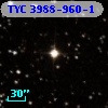 TYC 3988-960-1