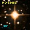 HD  65481