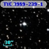 TYC 3989-239-1