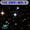 TYC 3989-460-1