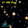 V* MV Pup