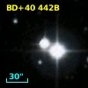 BD+40   442B