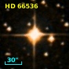 HD  66536