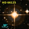 HD  66125