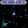TYC 3992-828-1