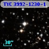 TYC 3992-1230-1