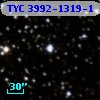 TYC 3992-1319-1
