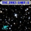 TYC 3992-1407-1