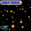 LEDA   78858