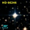HD  66246