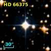 HD  66375