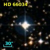 HD  66034