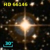 HD  66146