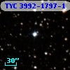 TYC 3992-1797-1