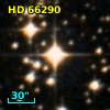 HD  66290