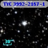 TYC 3992-2187-1