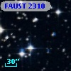 FAUST 2310