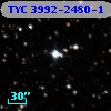 TYC 3992-2480-1