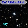 TYC 3993-176-1