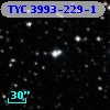 TYC 3993-229-1