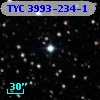 TYC 3993-234-1