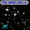 TYC 3993-295-1