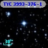 TYC 3993-376-1