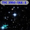 TYC 3993-566-1