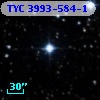 TYC 3993-584-1