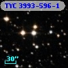 TYC 3993-596-1