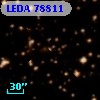 LEDA   78811