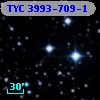 TYC 3993-709-1