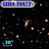 LEDA   78827