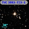 TYC 3993-723-1