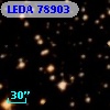LEDA   78903