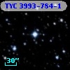 TYC 3993-784-1