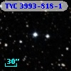 TYC 3993-818-1
