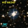 HD  66247