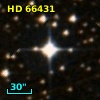 HD  66431