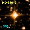 HD  65049