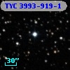 TYC 3993-919-1