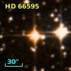 HD  66595