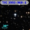 TYC 3993-960-1