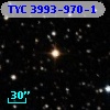 TYC 3993-970-1