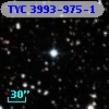 TYC 3993-975-1